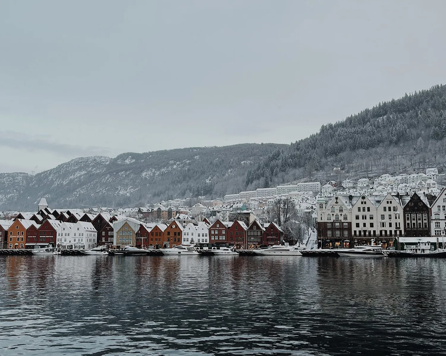 BERGEN: sanjsko življenje na severu!